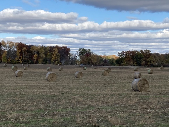 Round hale bales for soil health