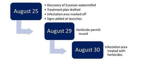 Timeline of milfoil treatment and discovery