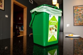 Organics bin on counter