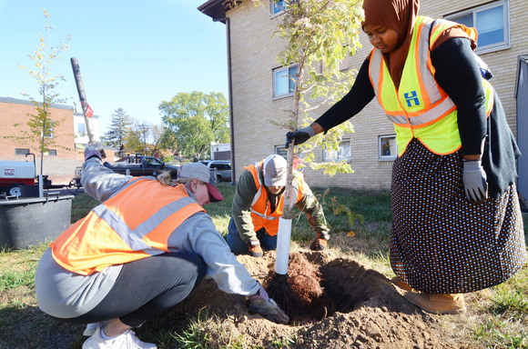 Three people planting a tree outside an apartment building