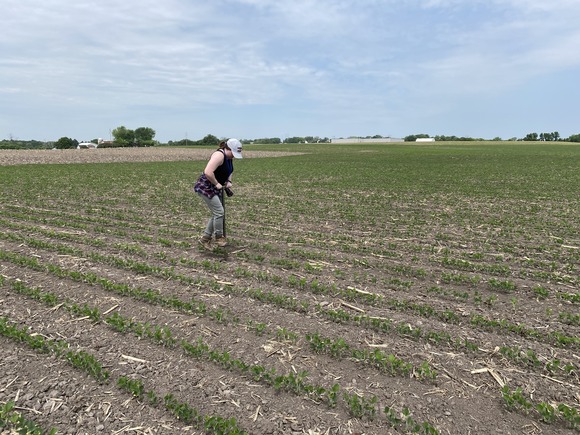 Hennepin County staff performing soil tests on agricultural land