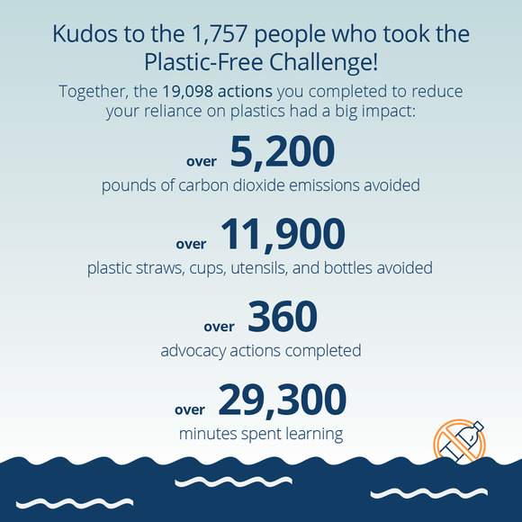 Plastic-Free Challenge 2024 results