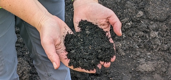Hands holding compost