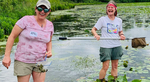 Two smiling teachers in a river sampling plants and animals