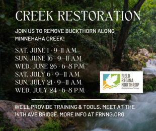 Creek Restoration