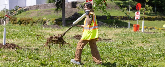 Person carrying a tree to be planted