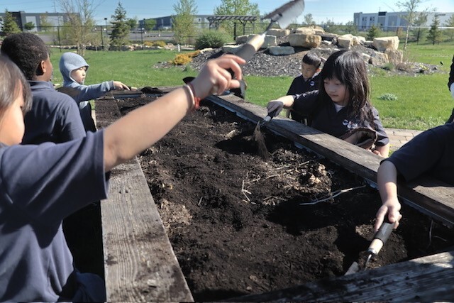 Students adding compost to a raised garden bed