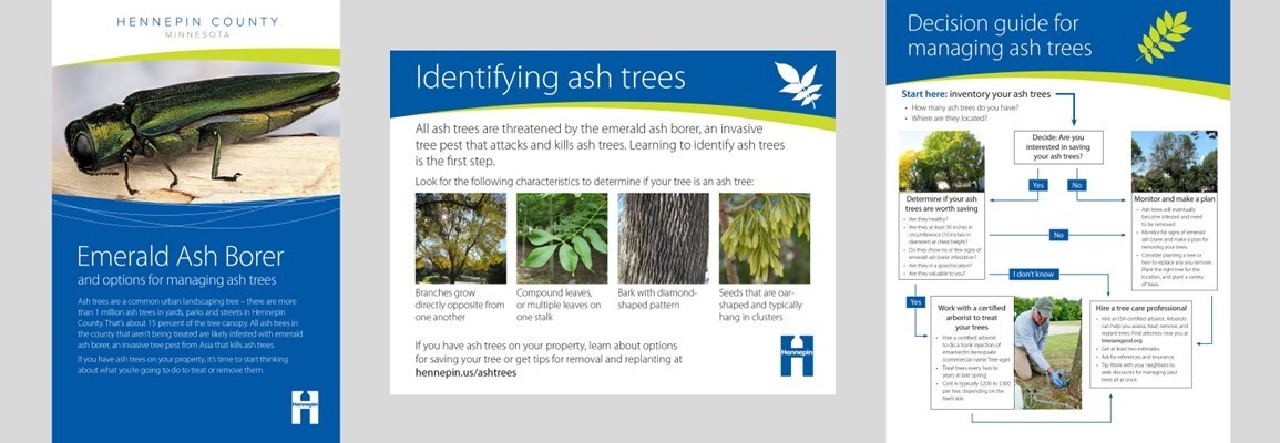Emerald ash borer booklet, ID card, and decision guide page one images