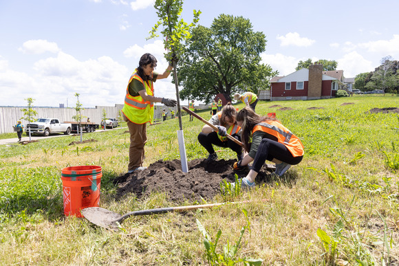 Three people plant a tree on an open lot next to a road and sound barrier wall