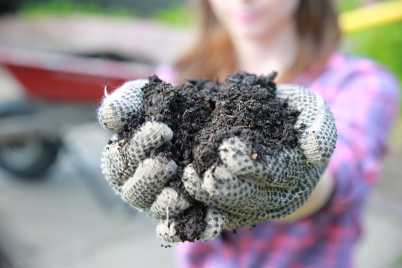 Two hands in gardening gloves holding a pile of fresh, dark, composted dirt towards the camera. 