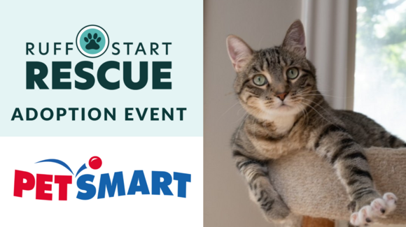 Pet adoption day flyer.