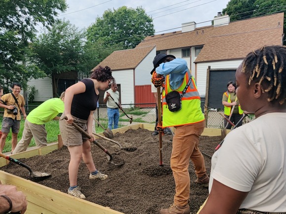 Hennepin County foresters and youth interns spread gravel out in the gravel bed nursery behind a housing complex in north Minneapolis