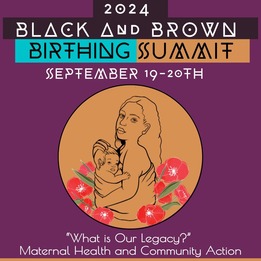 Annual Birth Summit