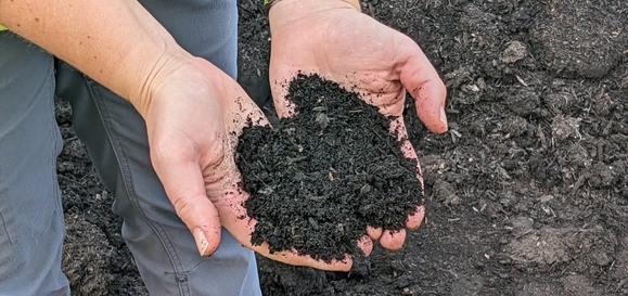 compost in hands