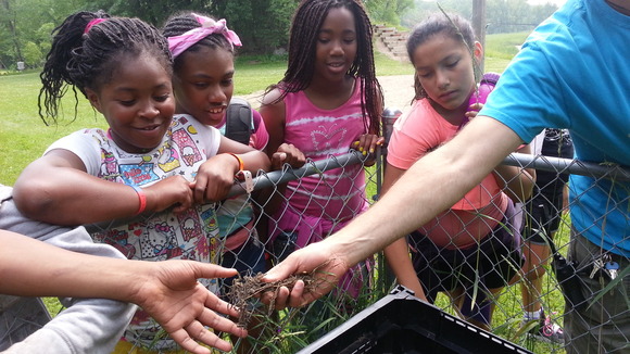 Smiling youth learn about composting