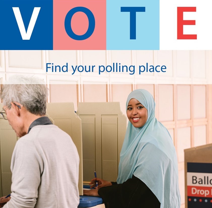 Voting- Hennepin Polling Pic