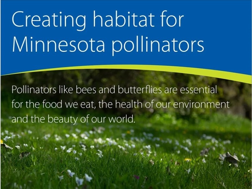 Pollinators
