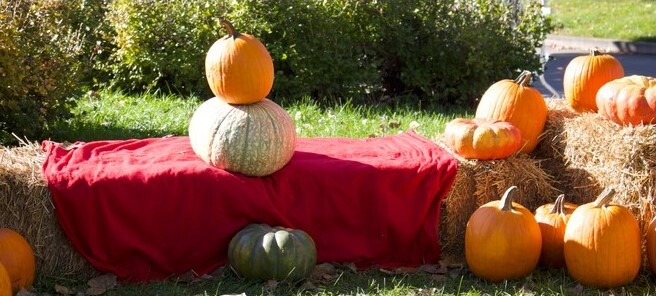 Powderhorn Gathering