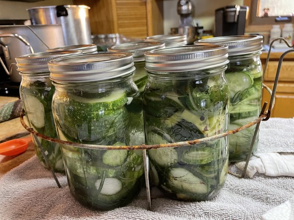 Jars of refrigerator pickles