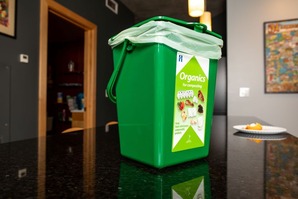 Countertop organics bin