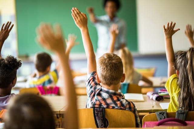classroom stock photo back of kids heads hands raised facing teacher