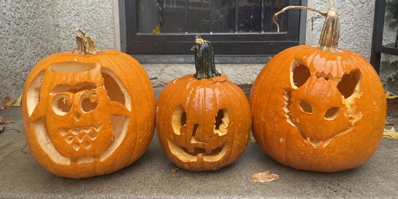 Three pumpkins carved as an owl, a face, and a fox on a stoop