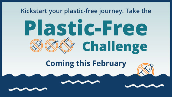 plastic free challenge