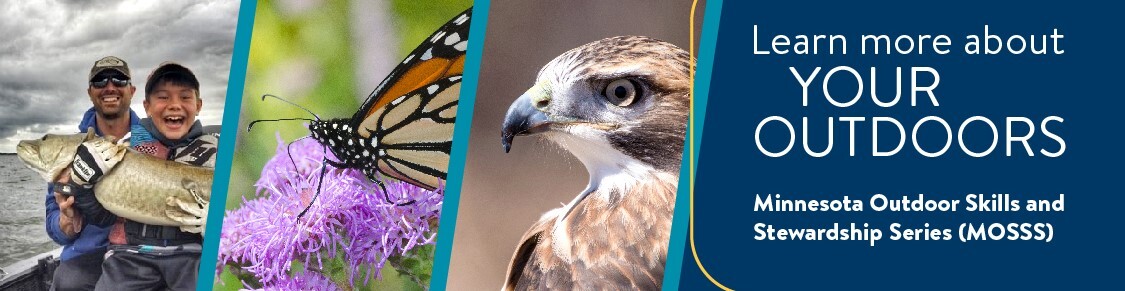 Learn more about your outdoors. Photo of a father and son holding a large fish. A monarch. A hawk. 