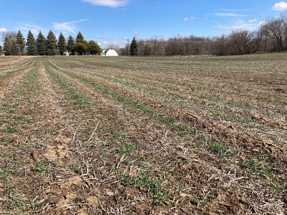 Winter Rye Farm Conservation Connection: January 2025