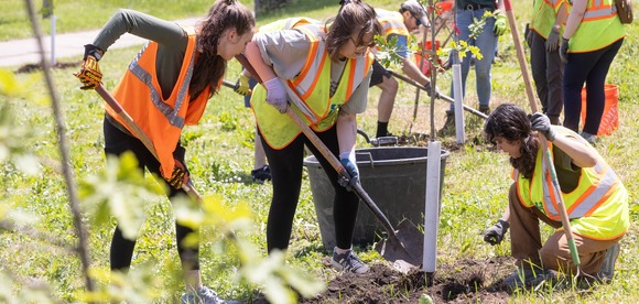 Kids planting trees