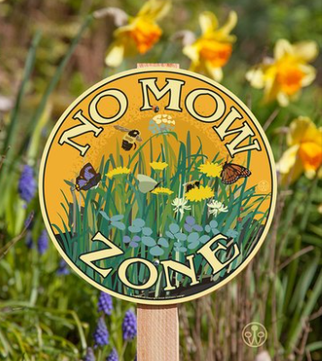 no mow may