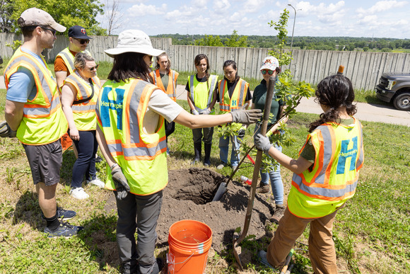A group learning how to plant trees