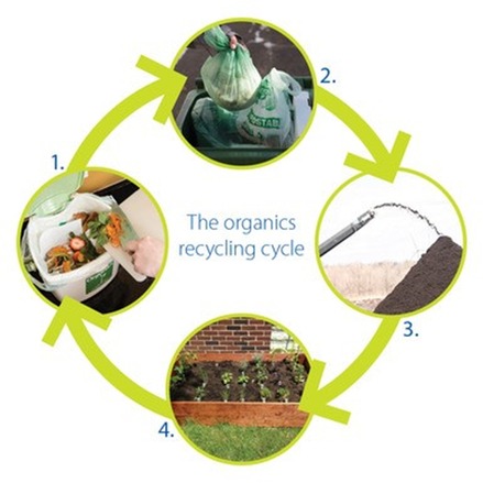 organics recycling cycle