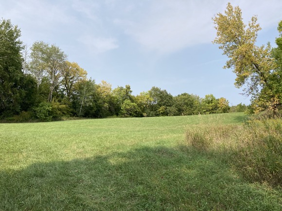 Meadow and forest permanently protected with new conservation easement