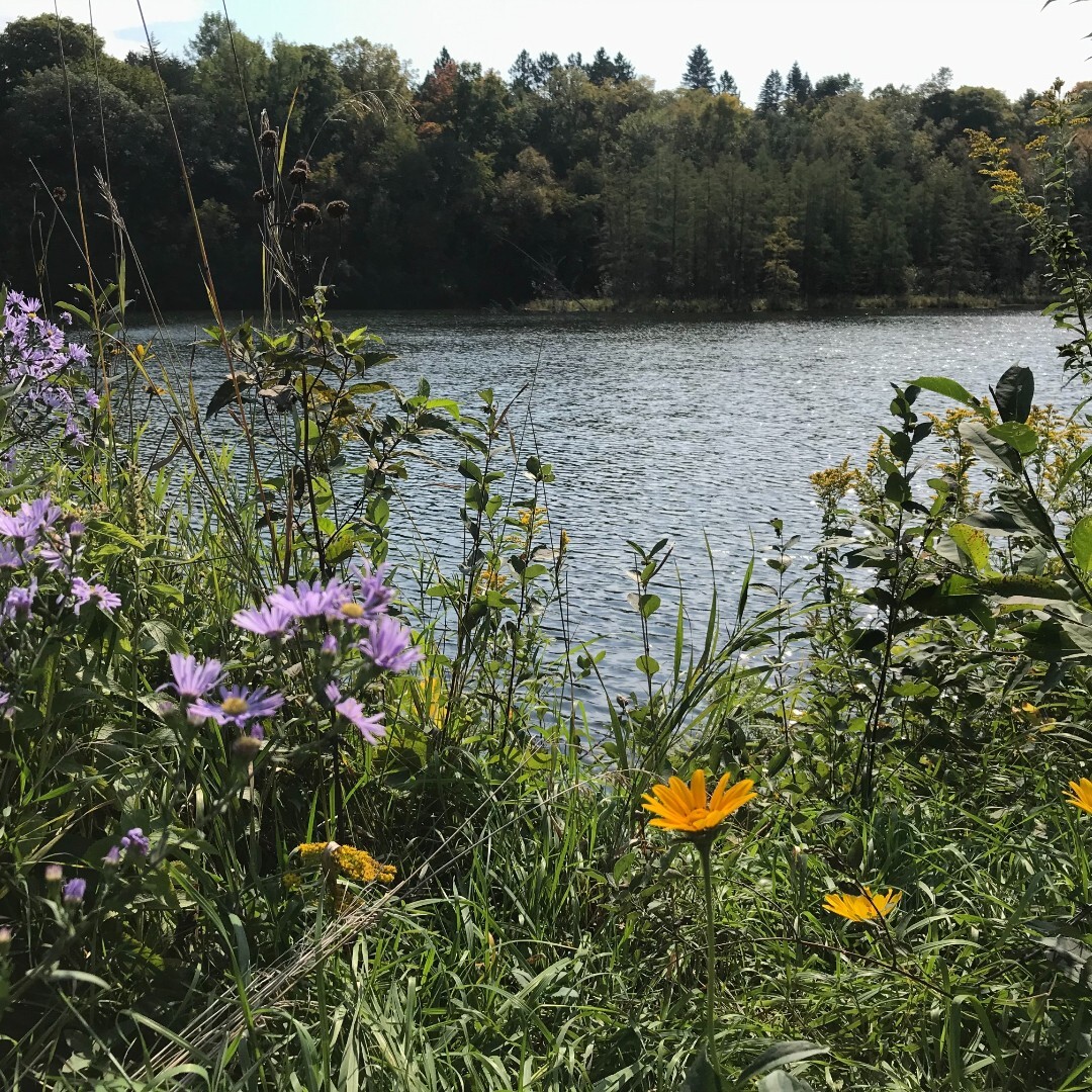 Hennepin Environment