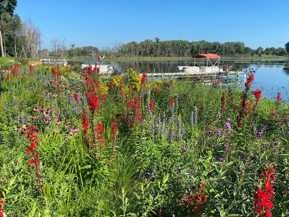 Blue Thumb Workshops