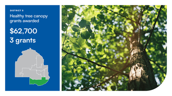 healthy-tree-grant-award-district5