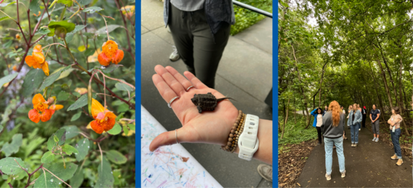 Collage of flowers, hand holding a baby snapping turtle, and the group on an outdoor hike