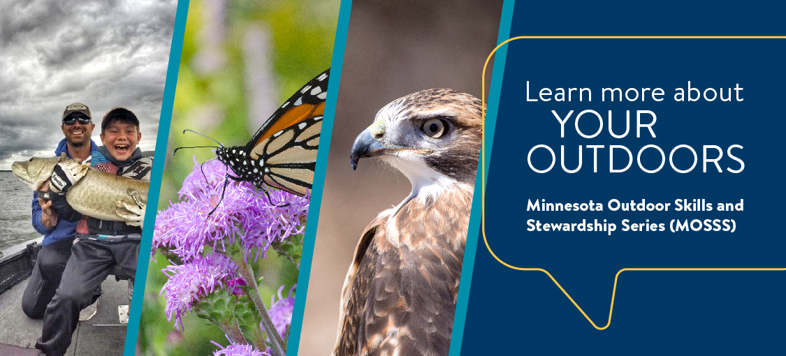 Outdoor skills and stewardship webinar series graphic