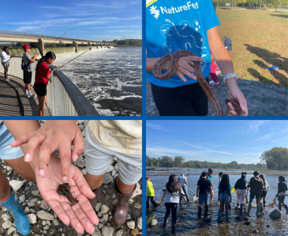 Students at NaturFest fishing by Coon Rapids Dam, meeting a snake, holding a crayfish, and wading into the Mississippi River