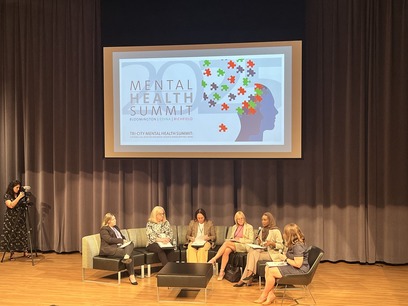 A photo of a panel taking place in a theater at the Bloomington Community Center. A screen above reads the title of the event.