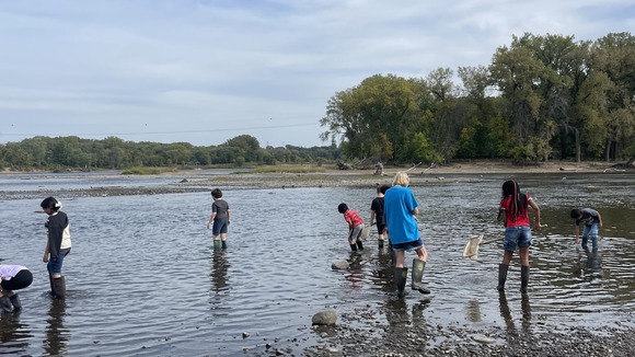Students wading in ankle-deep water in the Mississippi River with dip nets