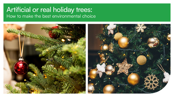 Selecting real vs artificial holiday trees