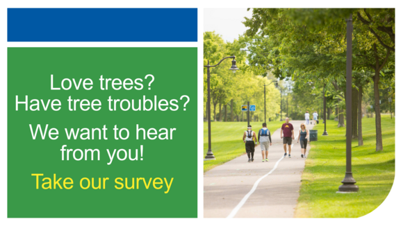 Love trees? Have tree troubles? We want to hear from you! Take our survey. Image of people walking on a bike path bordered by trees.
