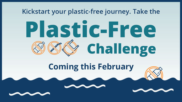 Plastic-Free Challenge