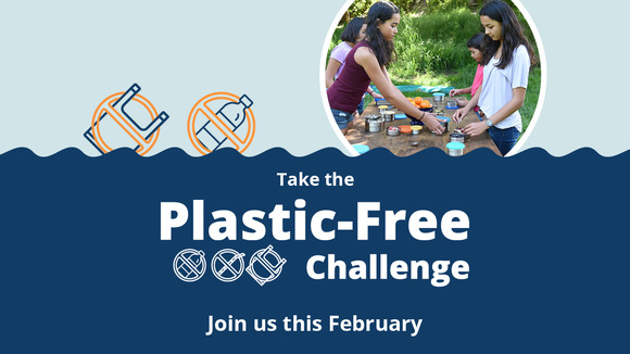 Take the Plastic-Free Challenge graphic with picture of four young people having a plastic-free picnic