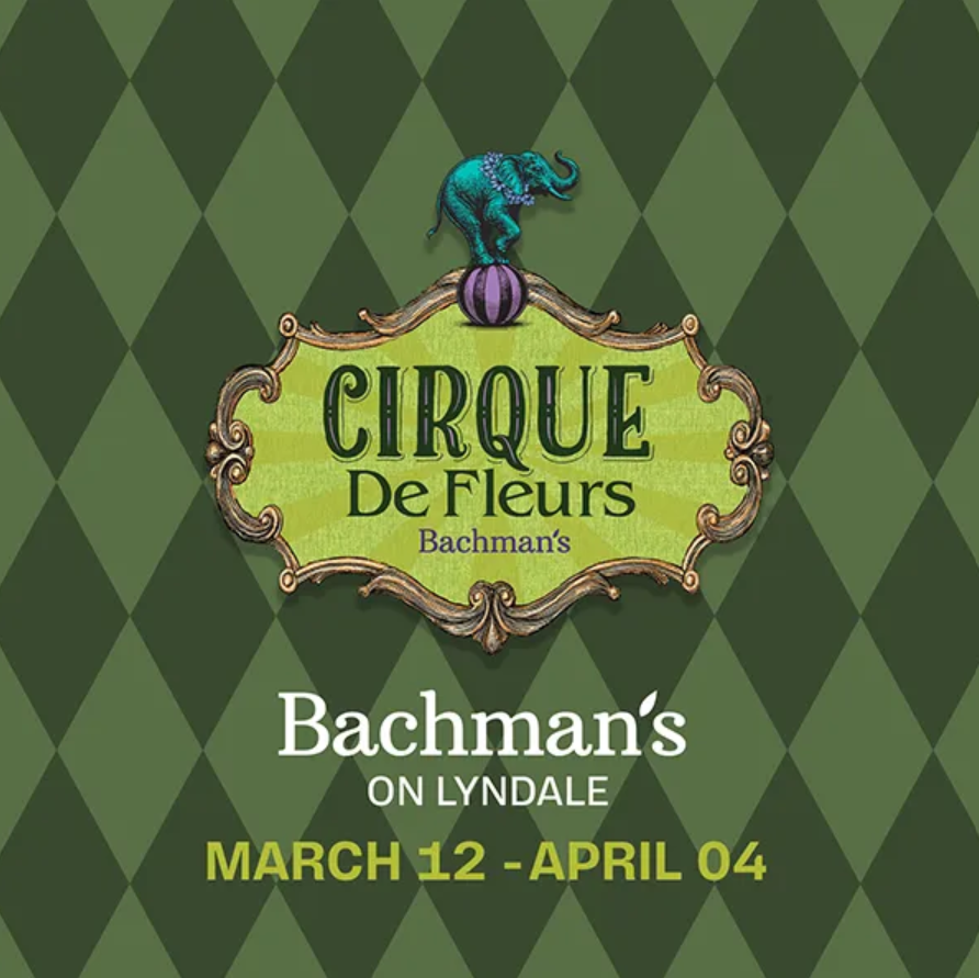Bachmans flower event