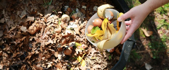 Person putting food waste into a compost bin