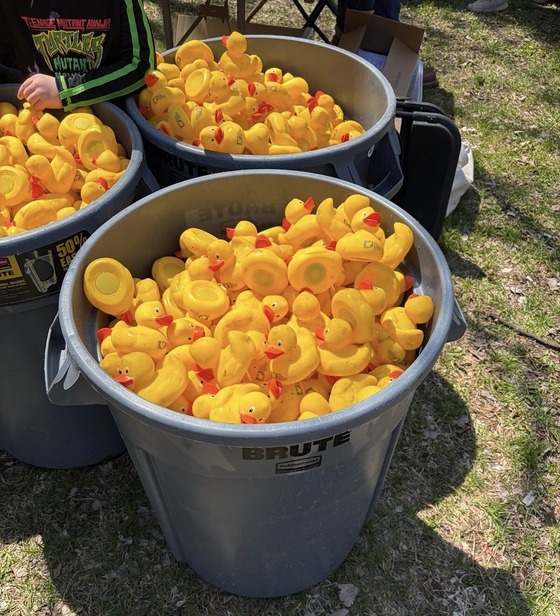 rubber ducks