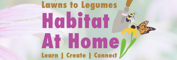 Lawns to Legumes Habitat at Home